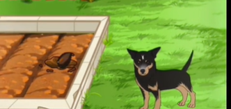 一代沙雕挖呀挖呀挖怎么过(图6) 一代沙雕挖呀挖呀挖怎么过(图6)