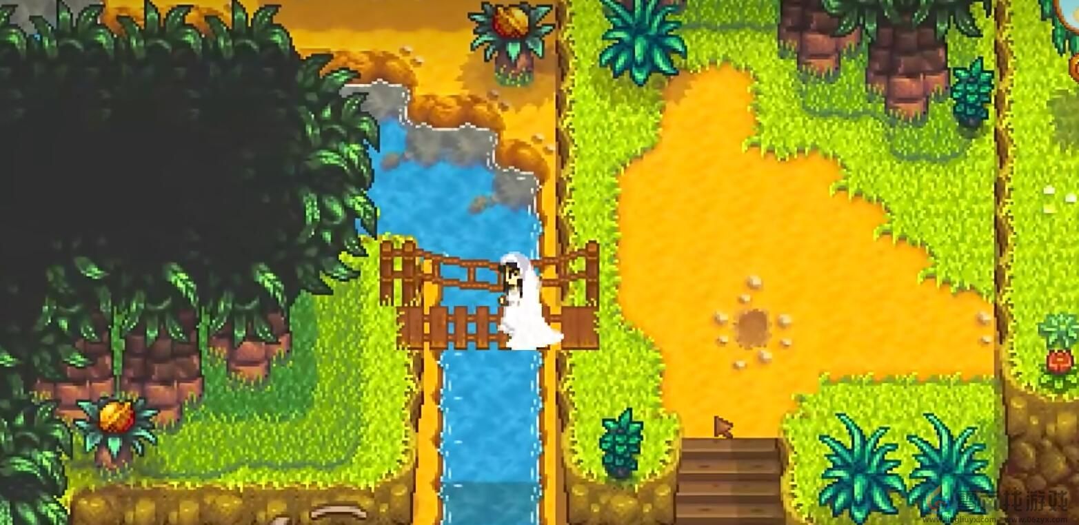 星露谷物语攻略大全(图4) 星露谷物语攻略大全(图4)