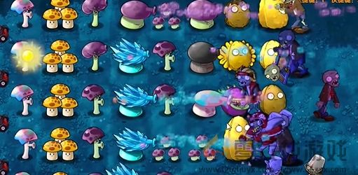 《植物大战僵尸融合版》冒险模式第11关通关攻略(图6) 《植物大战僵尸融合版》冒险模式第11关通关攻略(图6)