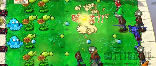 植物大战僵尸杂交版前院告急第四关如何速通(图5) 植物大战僵尸杂交版前院告急第四关如何速通(图5)